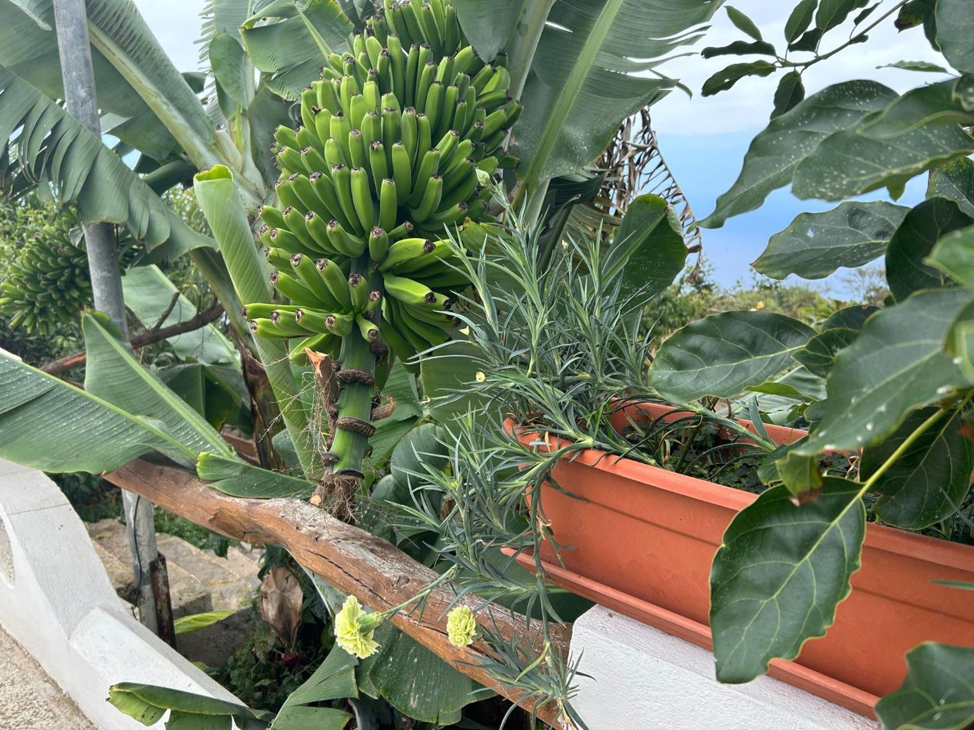 Casa Rural Los Barros Genovés エクステリア 写真