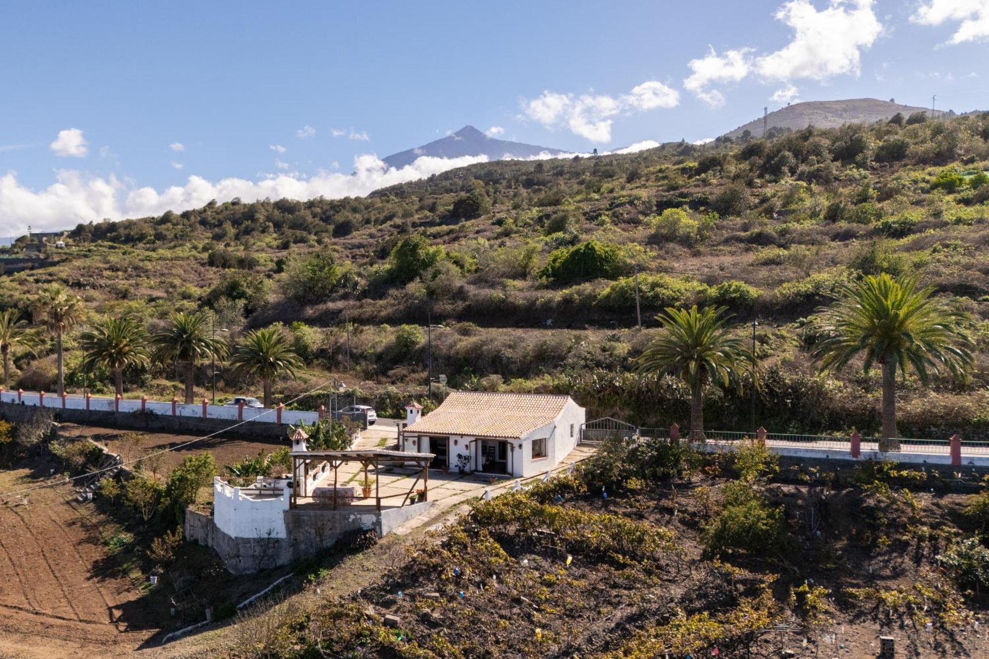 Casa Rural Los Barros Genovés エクステリア 写真